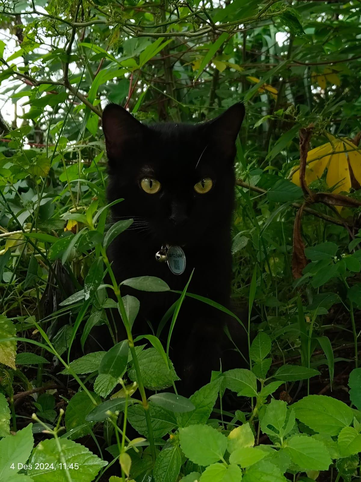 Example Article From Test 18